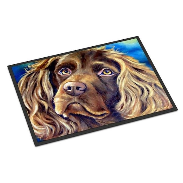 Carolines Treasures 7402JMAT 24 x 36 in. Boykin Spaniel Indoor or Outdoor Mat 7402JMAT - main